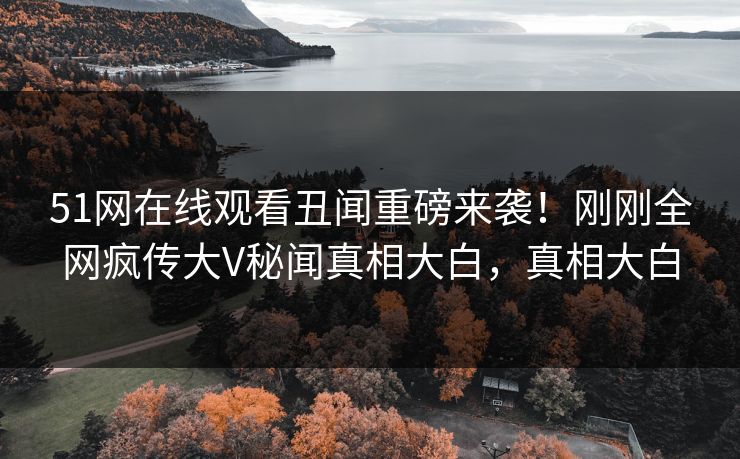 51网在线观看丑闻重磅来袭！刚刚全网疯传大V秘闻真相大白，真相大白